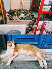 Weekend in Istanbul 2025: Iconic Sights, Cultural Thrills & Bosphorus Magic