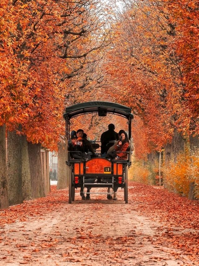 🇦🇹 2-Day Vienna Itinerary: A Perfect Blend of History, Art & Café Culture 🌟