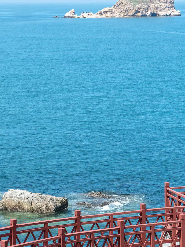 Seashells, Sunshine, and Seafood: A Day in Yantai