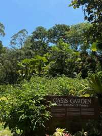🌿 A Lush City Retreat – Perdana Botanical Garden, Kuala Lumpur