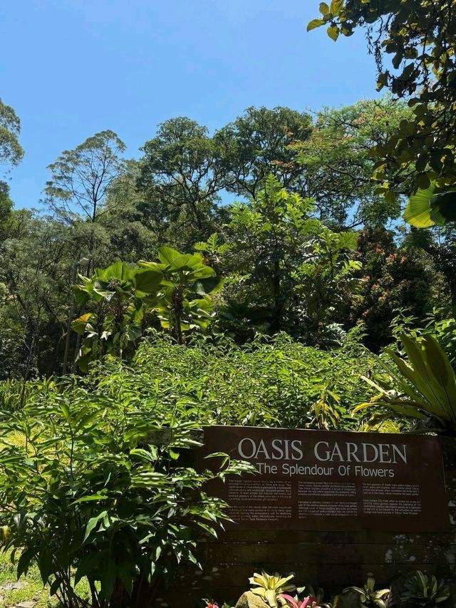 🌿 A Lush City Retreat – Perdana Botanical Garden, Kuala Lumpur