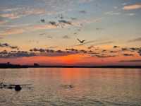 🌅 White Nights Magic in Karelia – Why You Must Visit Petrozavodsk’s Embankment This Summer