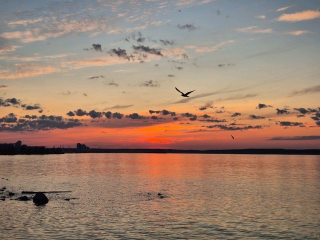 🌅 White Nights Magic in Karelia – Why You Must Visit Petrozavodsk’s Embankment This Summer