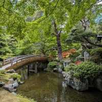 2 days in Kyoto no more than $100 per person.