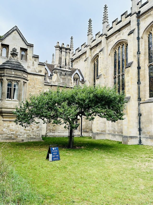 🇬🇧英國旅遊🚅倫敦出發🛶🍎🎓 劍橋1日遊