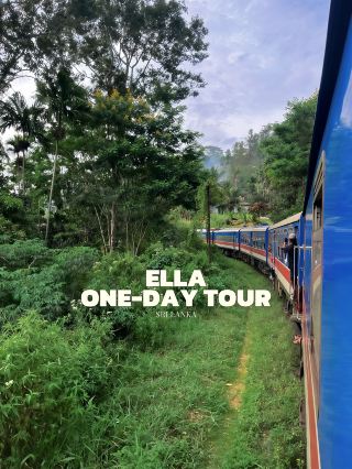 One day tour of Ella - an unforgettable adventure! 🌿🐘