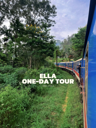 One day tour of Ella - an unforgettable adventure! 🌿🐘