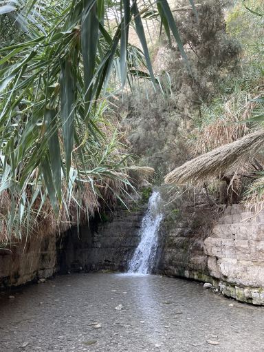 Ein Gedi – Desert Oasis of Life and Adventure 💦✨
