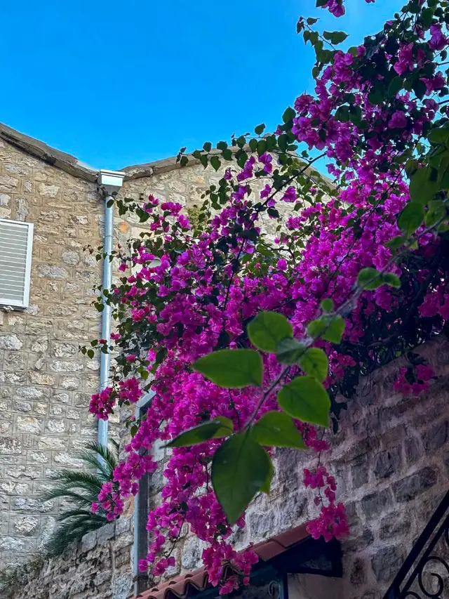 Budva in my heart forever🧡