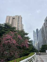 Guangzhou trip🇨🇳🌇🏙️🍃