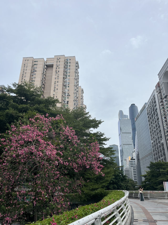 Guangzhou trip🇨🇳🌇🏙️🍃
