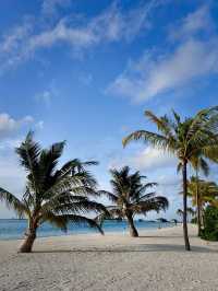 Cocoon Maldives — Where Luxury Meets the Art of Doing Nothing