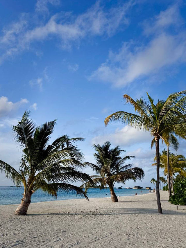 Cocoon Maldives — Where Luxury Meets the Art of Doing Nothing