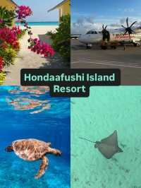  🌴🚤 Escape to Heaven: Unveiling the Charm of Hondaafushi Island Resort