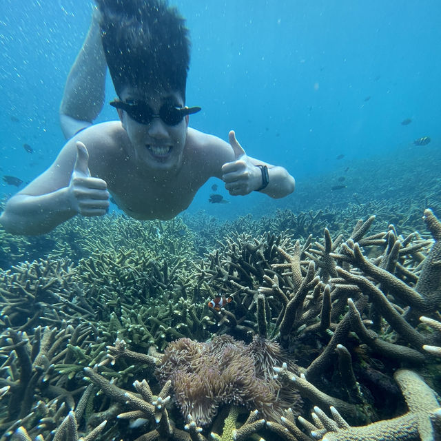 ๐ฒ๐พ Malaysia ๐๏ธ Redang Island Magic Escape ๐ ๐ฒ๐พ Malaysia ๐๏ธ Redang Island Magic Escape ๐