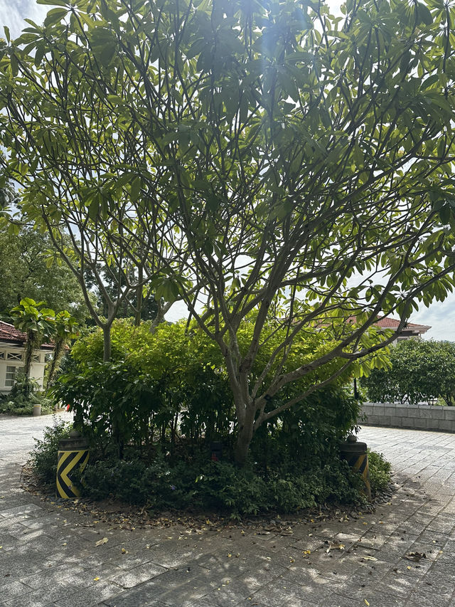 📍 🌳 Fort Canning Park 