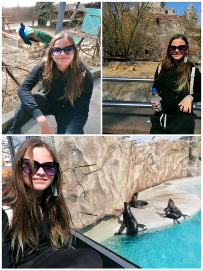 Not Just the Panda: 5 Reasons to Spend a Day at the Moscow Zoo