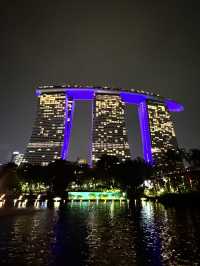 Unforgettable Day and Night at Gardens by the Bay, Singapore