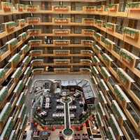 Malls and Name Brand Stores/ Tsim Sha Tsui 🇭