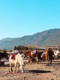 Grasslands near Lijiang, Yunnan🌿🍃