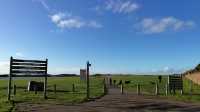 England's stunning beach, Crosby Beach in late autumn.