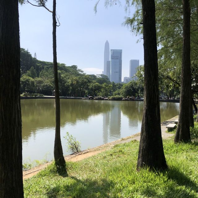 Stunning oasis in a concrete jungle 🌿🏙️🌸