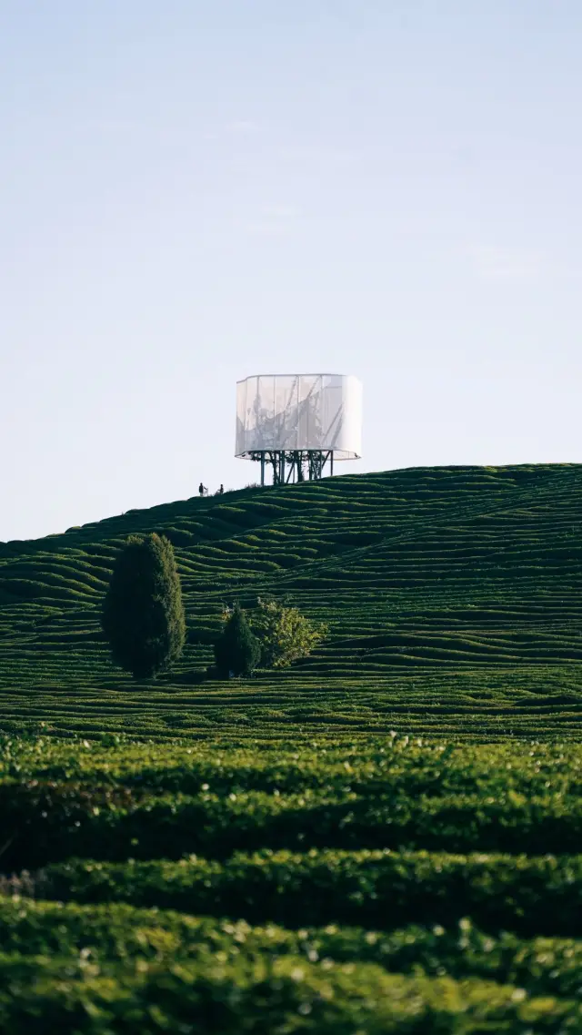 Weekend Photography · Jingdezhen