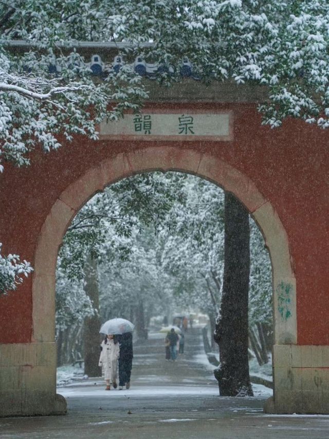 Snowfall in Linggu Temple!