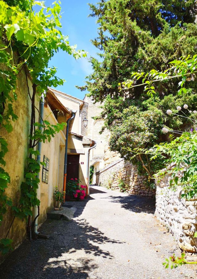 格里尼昂——法國南部最重要的文藝復興建築之一!