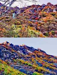 五彩斑斕看秋山｜百瑞谷