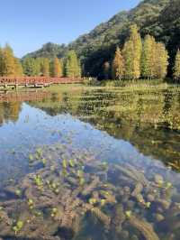 石門國家森林公園