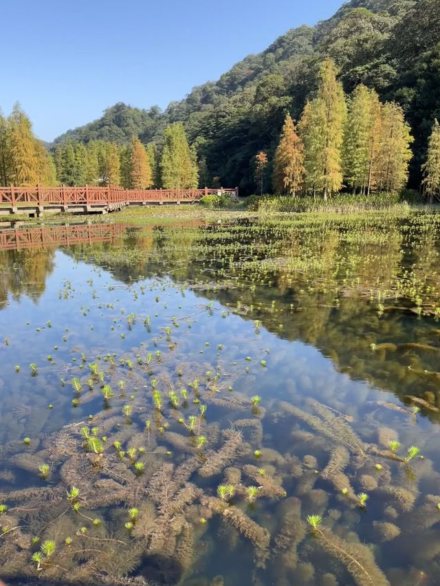 石門國家森林公園