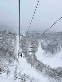 二世谷最大滑雪場——比羅夫滑雪場