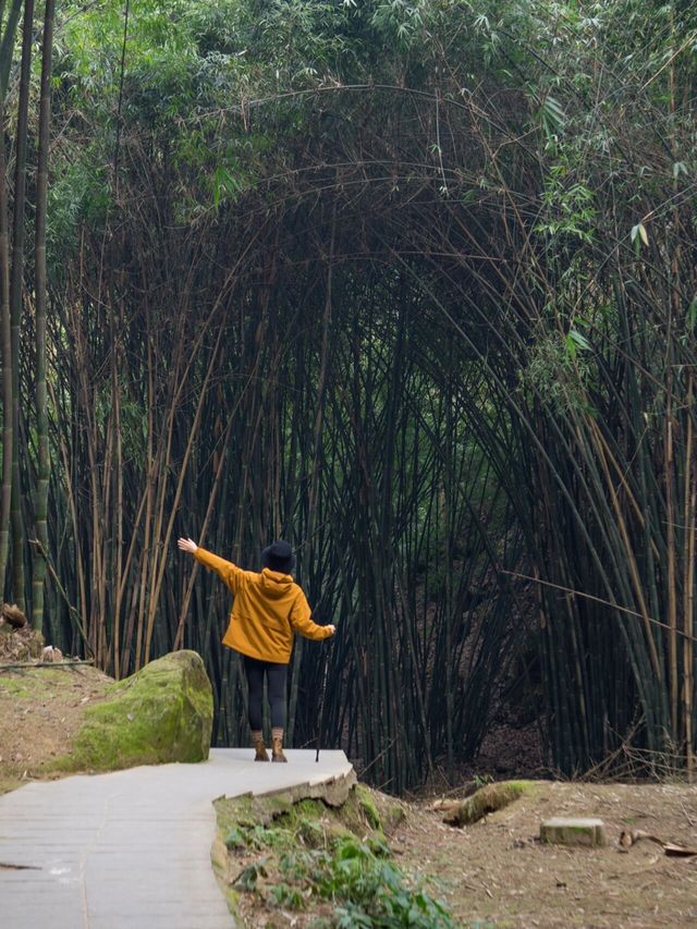 這個輕徒步天花板是不是全成都人都知道了