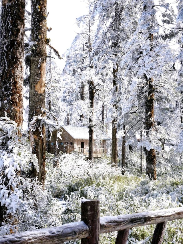 不是北海道去不起，而是成都3h看雪更性價比