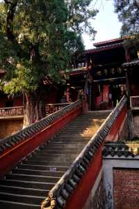 遊瀘山，寺廟、博物館、登山和靈猴