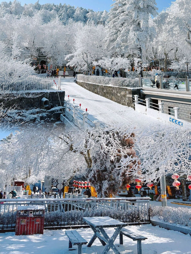 南國雪鄉——江西廬山，南方看雪的天花板！