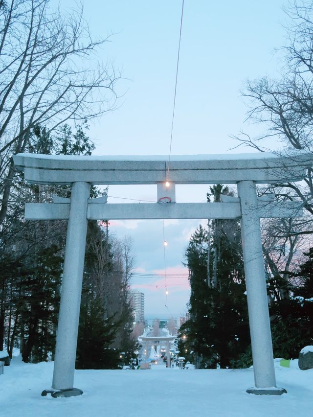 日本小樽必去景點住吉神社白雪配紅色鳥居一定不能錯過