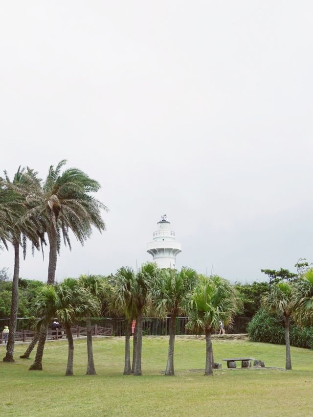 台灣墾丁最不可錯過的市區景點來鵝鑾鼻公園享受好風景