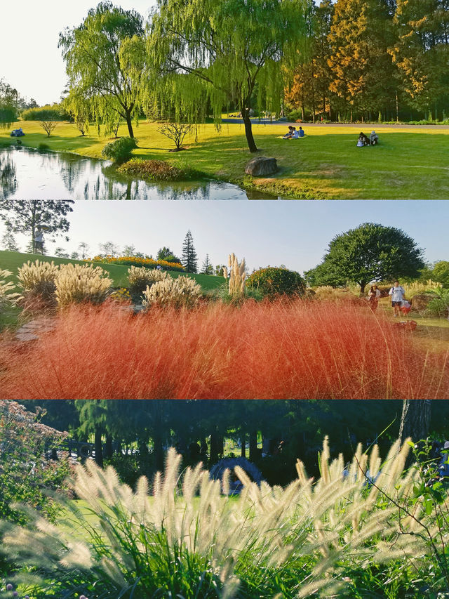 請收下這篇：辰山植物園遊園指南
