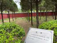 張飛故里