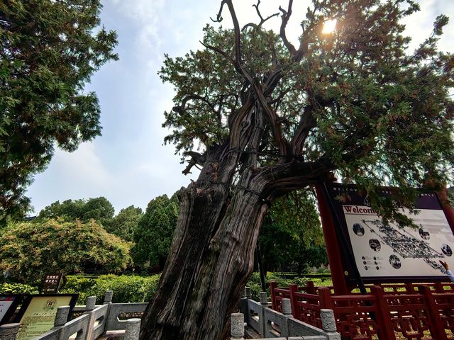 岱廟