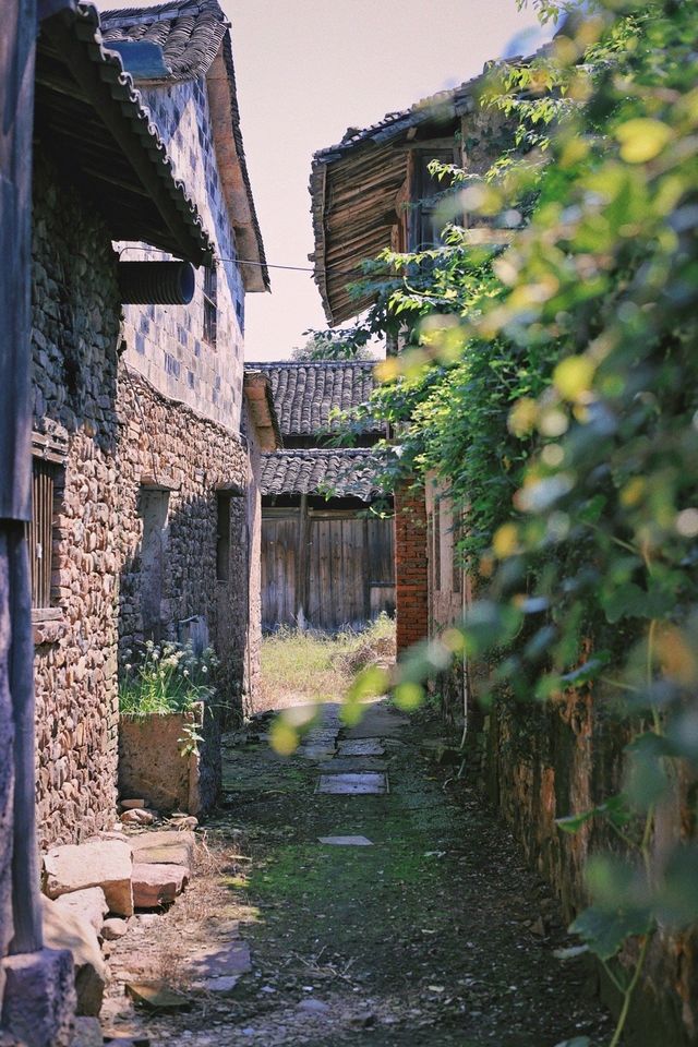 桐江書院& 皤灘古鎮 桐江書院& 皤灘古鎮