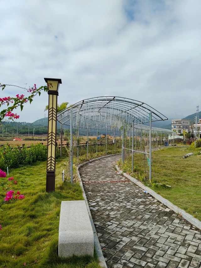 河西街道鰲頭公園冬日即景