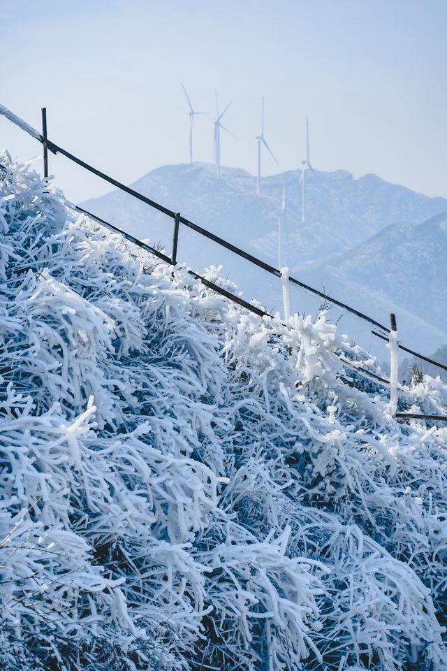 廣州周邊看雪聖地，雲端賞冰雪霧凇奇觀