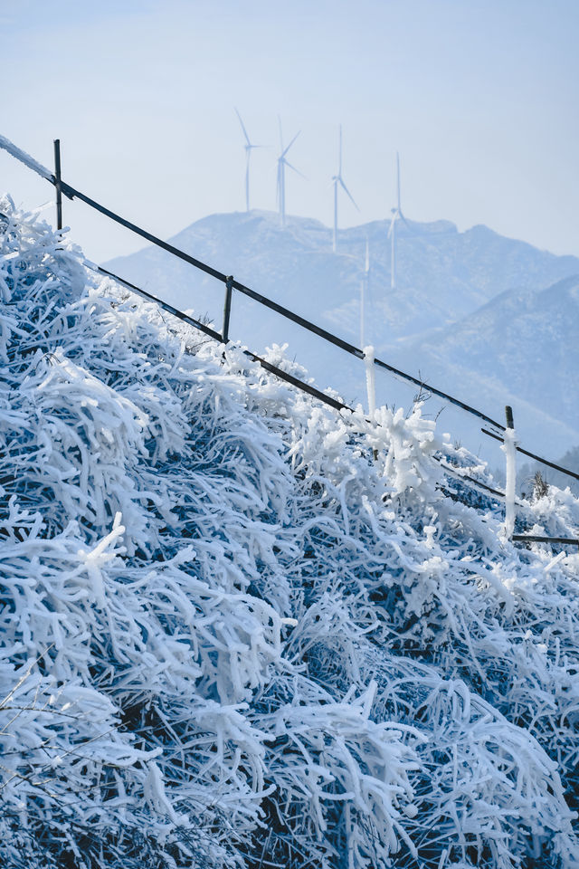 廣州周邊看雪聖地，雲端賞冰雪霧凇奇觀