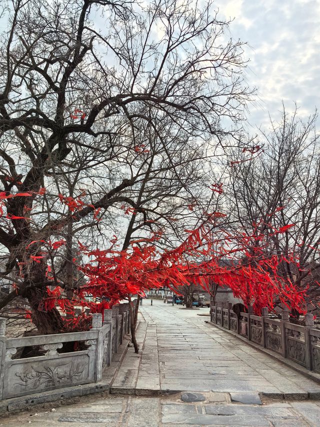 樹馱橋：橋樹交融，相依相伴300年，宿州一大奇觀