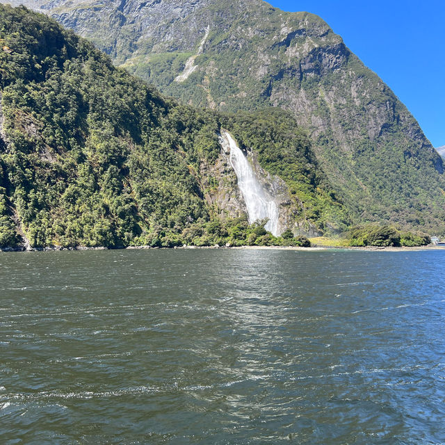 A Taste of the Enchanting Fiordland!