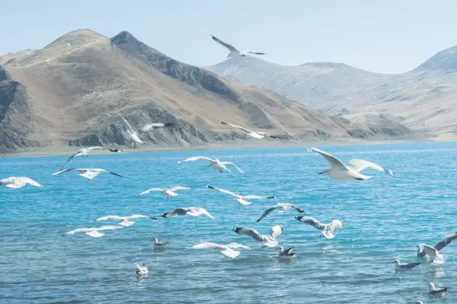 The indescribable beauty of Yang Lake