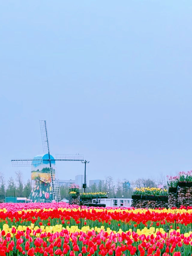 絕了!被問100遍的賞花地中國第一鬱金香花海